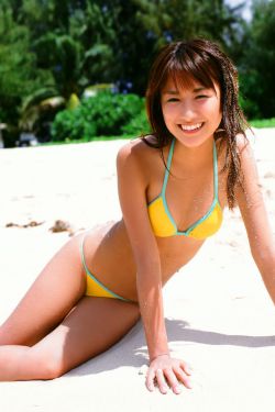 冰山雪莲